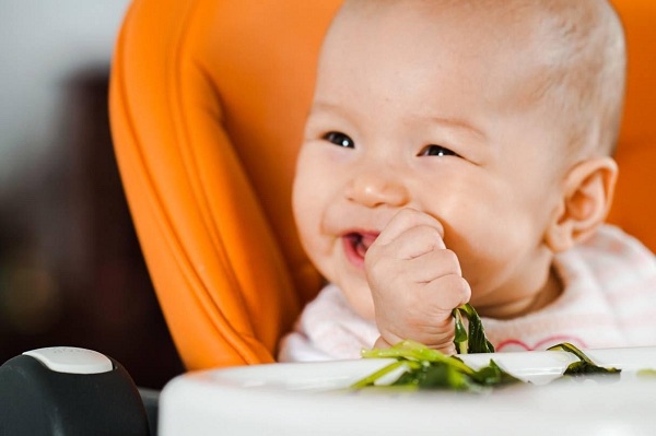 Yến Sào Nha Trang : Trẻ mấy tháng tuổi thì ăn được tổ yến sào? 