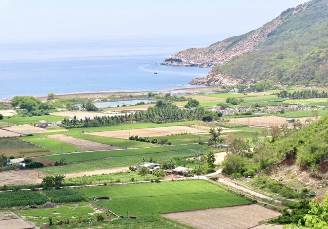Những ngôi làng tuyệt đẹp ven biển: Làng 'bốn không' dưới chân Hòn Hèo- Ảnh 8. Những ngôi làng tuyệt đẹp ven biển: Làng 'bốn không' dưới chân Hòn Hèo- Ảnh 8.