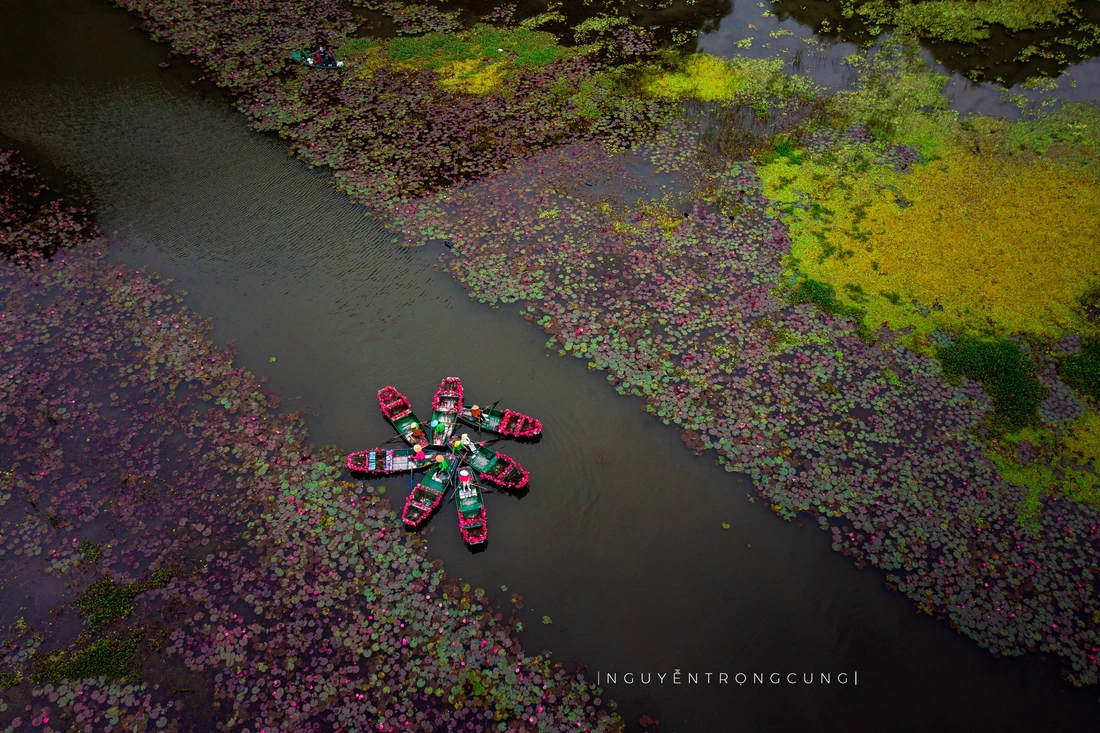 Ninh Bình - Ảnh 7.