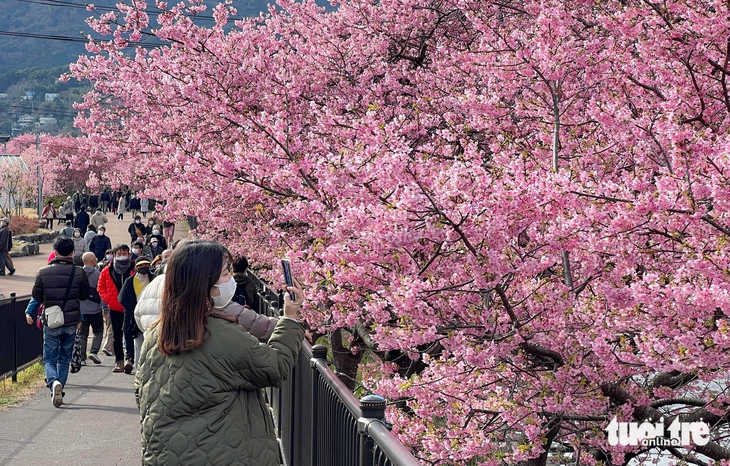 khách việt - Ảnh 2.