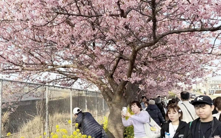 Tết con ngựa, khách Việt đi đâu chơi? - Ảnh 3.