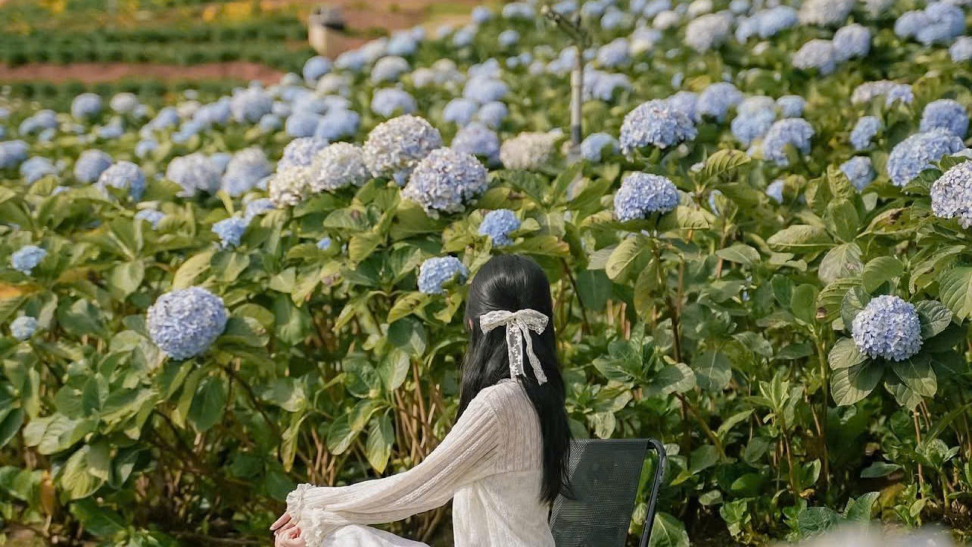 z7072708216974_fd87a79159af569131e4436d2f796dba