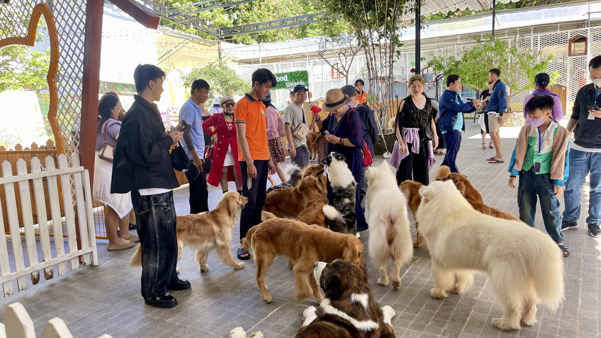 z7162885517026_e89699da8489f0215194de7dd2517380