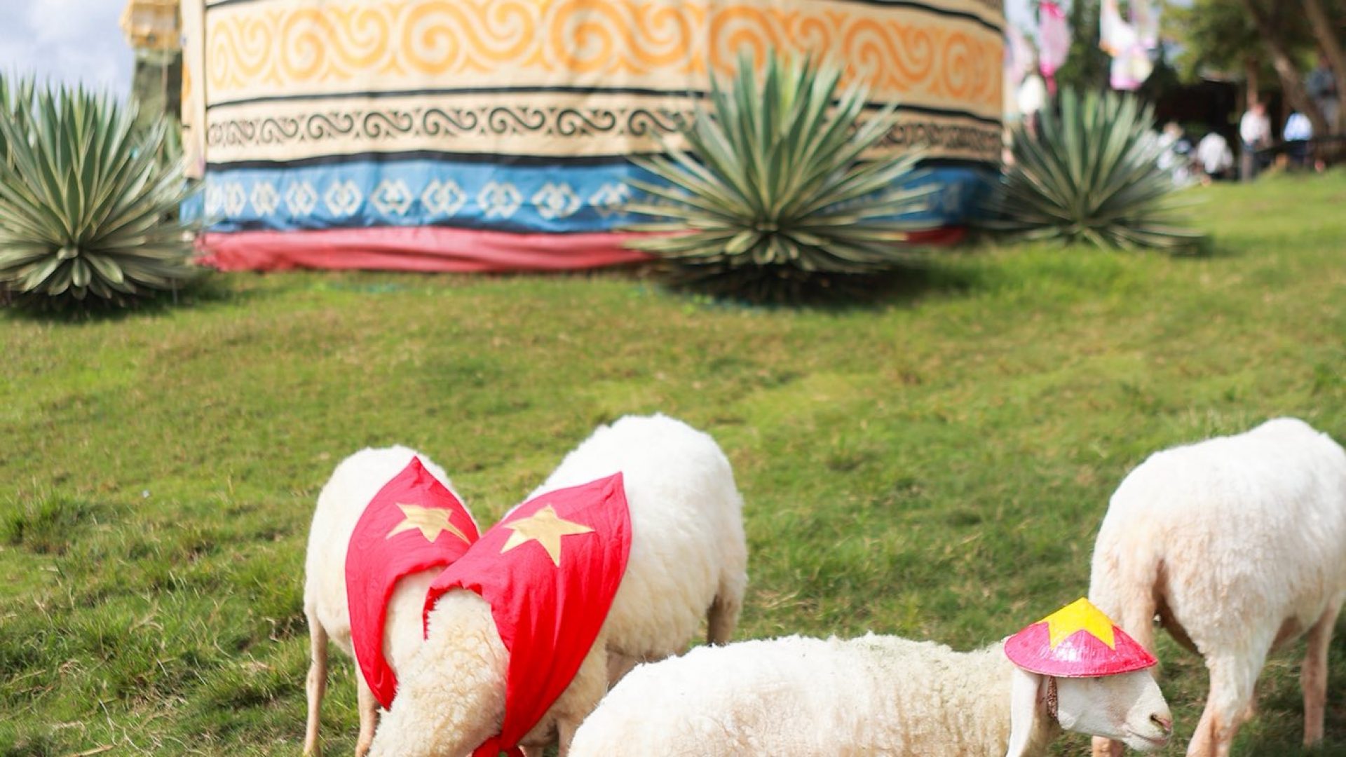 541490442_771951105580213_5420011184378865815_n