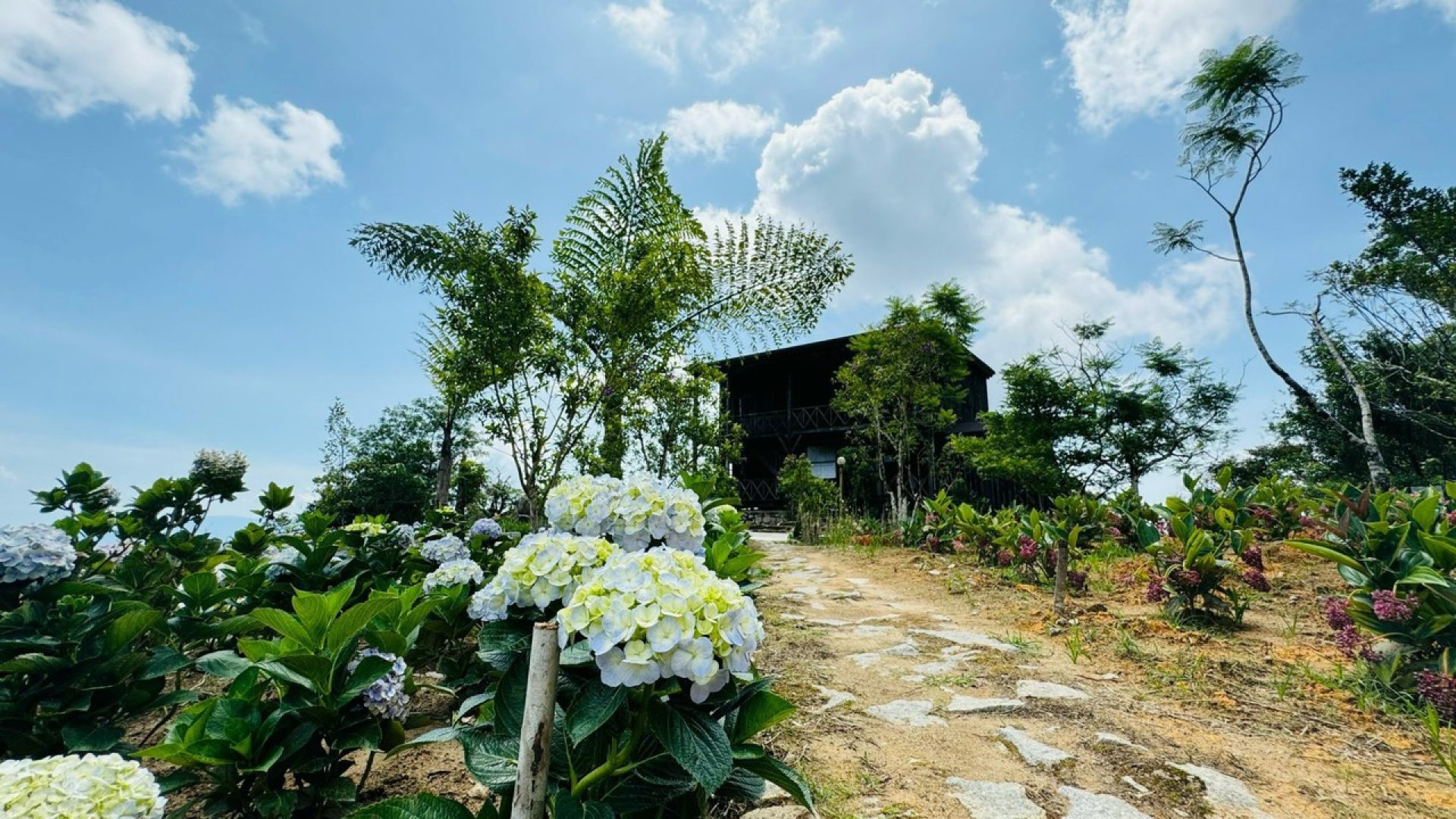 89-1718594296-z5538845199186-70f6cf2f93cb5f382e248d2b94f3b01d