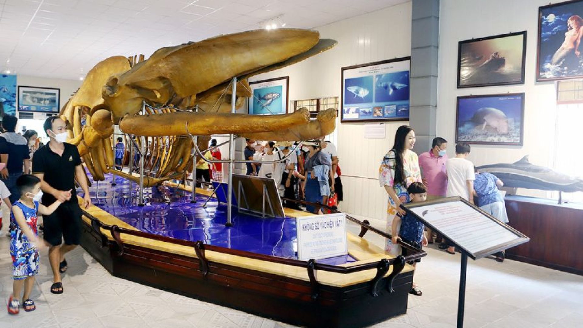 vien-hai-duong-hoc-nha-trang (6)