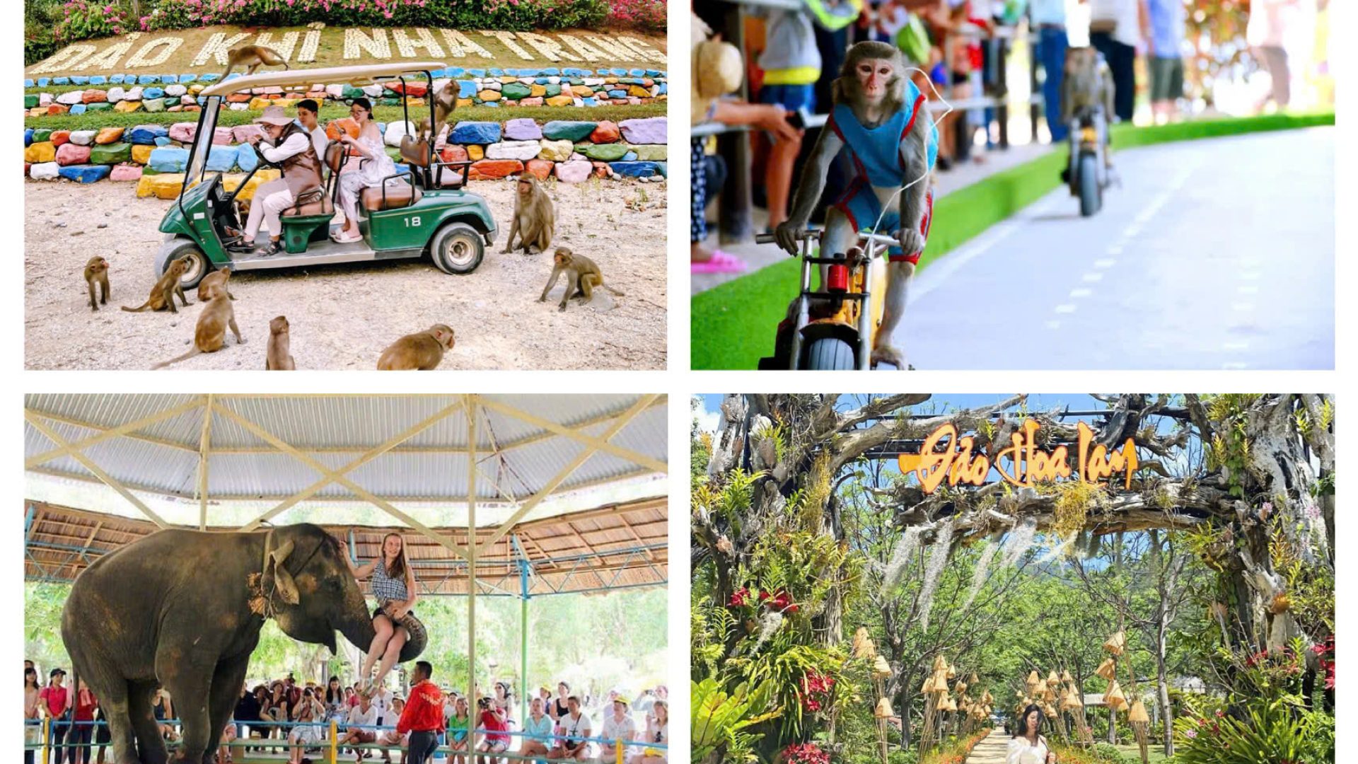 z6583348416015_ce03ee37deeb3f1bfc18024496e5bcf3