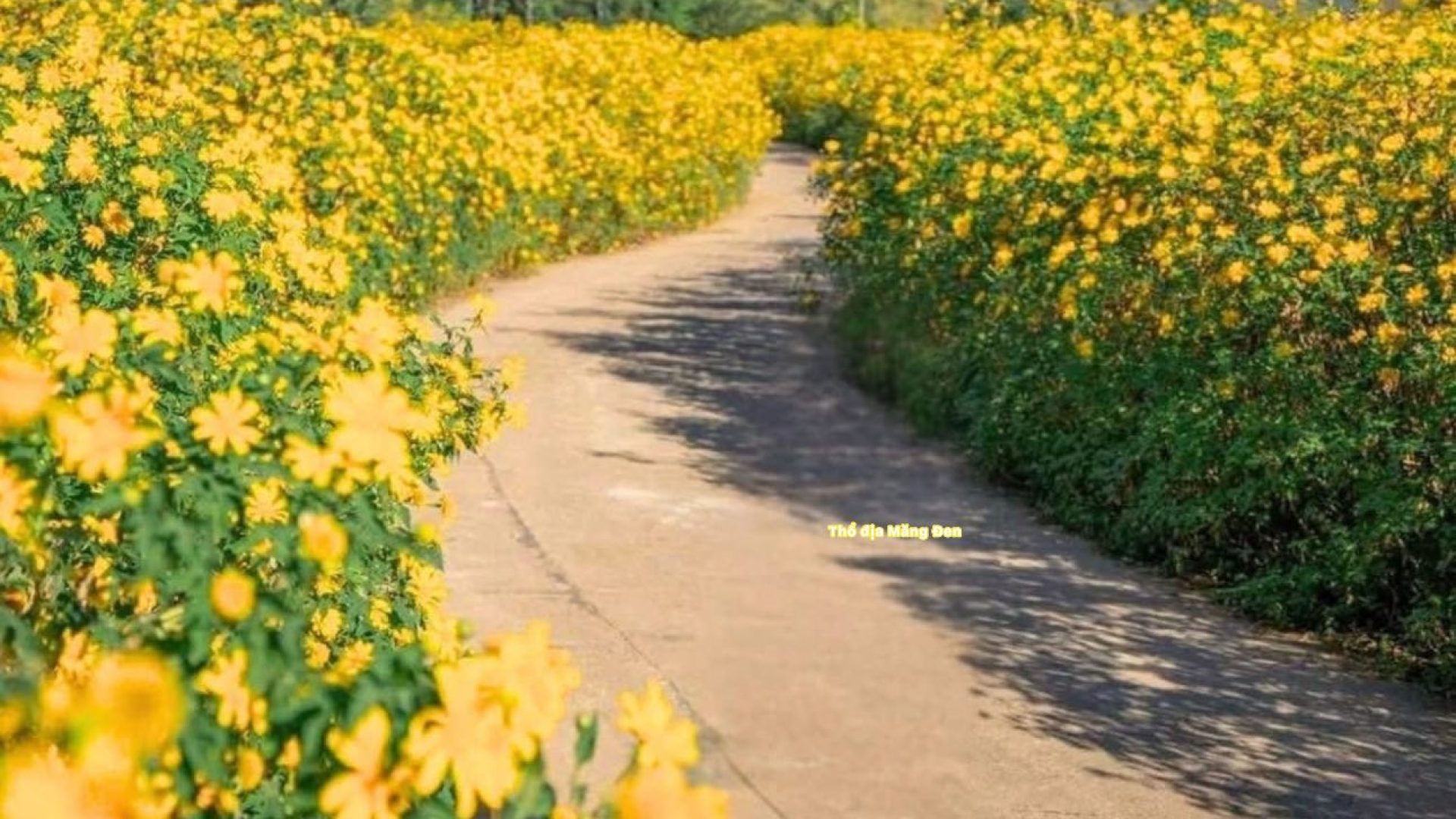 557745091_122305007774007325_7641775240056696563_n