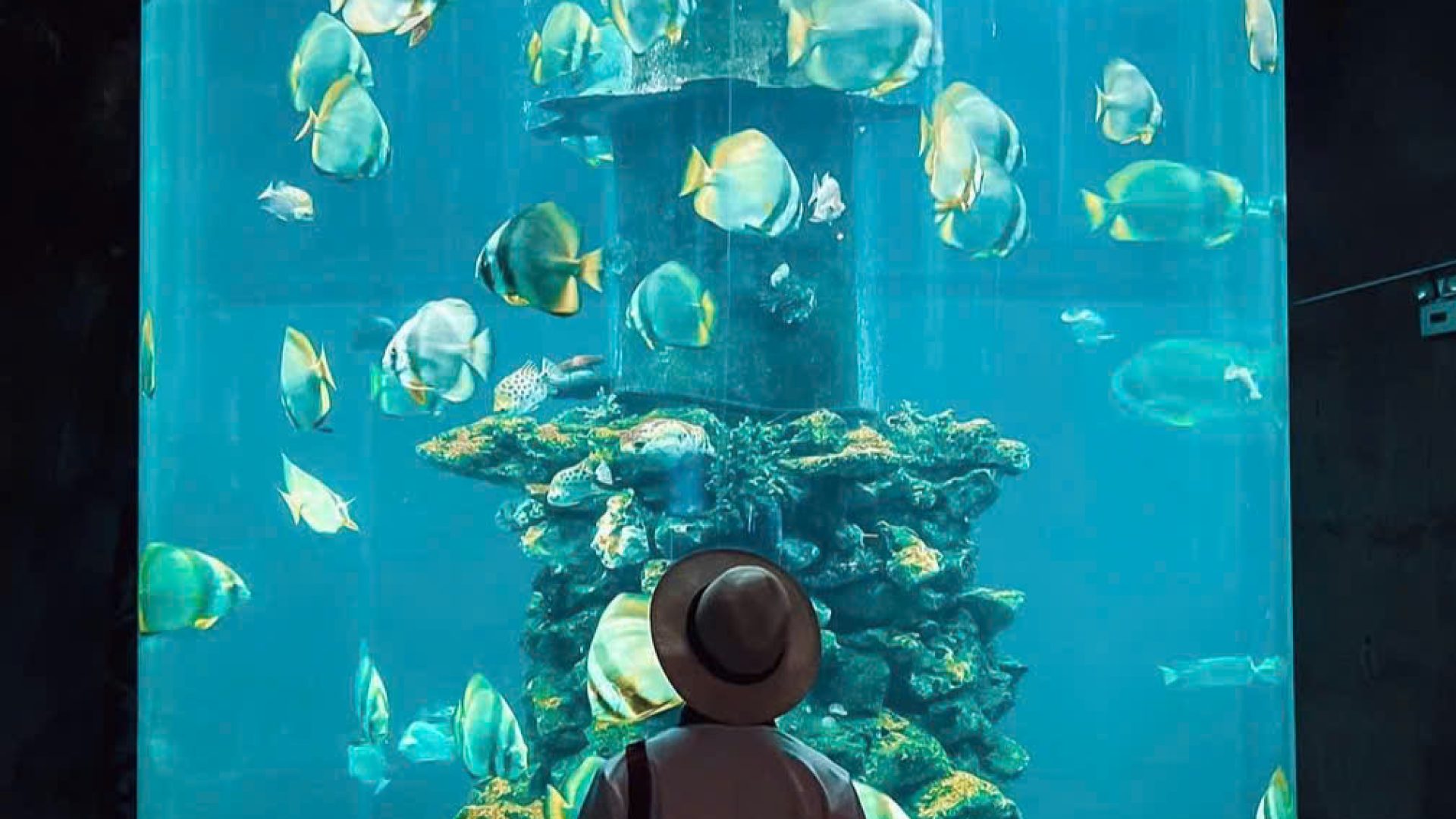 z7339621715280_e8d7cf392e660f816b0c019222870cca