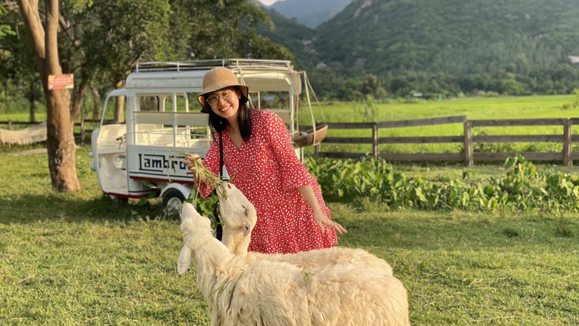 z6777390133861_90054ad87b013b3ab4f2ec56dc723a5c